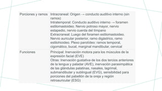 Porciones y ramos Intracraneal: Origen → conducto auditivo interno (sin
ramos)
Intratemporal: Conducto auditivo interno → foramen
estilomastoideo. Nervio potroso mayor, nervio
estapedio, nervio cuerda del tímpano
Extracraneal: Luego del foramen estilomastoideo.
Nervio auricular posterior, ramo digástrico, ramo
estilohioideo. Plexo parotídeo: ramos temporal,
cigomático, bucal, marginal mandibular, cervical
Funciones Principal: Inervación motora para los músculos de la
expresión facial (EVE)
Otras: Inervación gustativa de los dos tercios anteriores
de la lengua y paladar (AVE), inervación parasimpática
de las glándulas palatinas, nasales, lagrimal,
submandibular y sublingual (EVG), sensibilidad para
porciones del pabellón de la oreja y región
retroauricular (ESG)
 