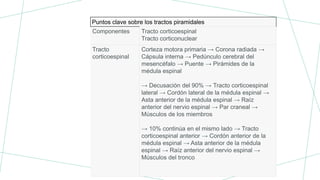 Puntos clave sobre los tractos piramidales
Componentes Tracto corticoespinal
Tracto corticonuclear
Tracto
corticoespinal
Corteza motora primaria → Corona radiada →
Cápsula interna → Pedúnculo cerebral del
mesencéfalo → Puente → Pirámides de la
médula espinal
→ Decusación del 90% → Tracto corticoespinal
lateral → Cordón lateral de la médula espinal →
Asta anterior de la médula espinal → Raíz
anterior del nervio espinal → Par craneal →
Músculos de los miembros
→ 10% continúa en el mismo lado → Tracto
corticoespinal anterior → Cordón anterior de la
médula espinal → Asta anterior de la médula
espinal → Raíz anterior del nervio espinal →
Músculos del tronco
 
