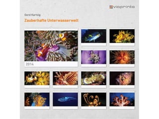 viaprinto motivkalender #4