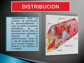 DIFERENCIACION ENTRE LA VIA RECTAL Y VIA VAGINAL