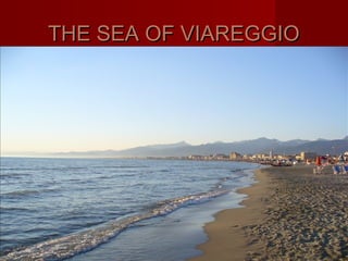 THE SEA OF VIAREGGIOTHE SEA OF VIAREGGIO
 