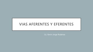 VIAS AFERENTES Y EFERENTES
Lic. Kevin Jorge Rodenas
 