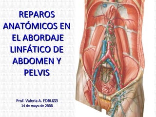 REPAROS ANATÓMICOS EN  EL ABORDAJE LINFÁTICO DE ABDOMEN Y PELVIS Prof. Valeria A. FORLIZZI 14  de  may o de 2008 