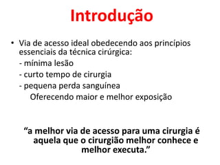 Introdução
• Via de acesso ideal obedecendo aos princípios
essenciais da técnica cirúrgica:
- mínima lesão
- curto tempo de cirurgia
- pequena perda sanguínea
Oferecendo maior e melhor exposição
“a melhor via de acesso para uma cirurgia é
aquela que o cirurgião melhor conhece e
melhor executa.”
 