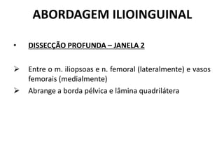 ABORDAGEM ILIOINGUINAL
• DISSECÇÃO PROFUNDA – JANELA 2
 Entre o m. iliopsoas e n. femoral (lateralmente) e vasos
femorais (medialmente)
 Abrange a borda pélvica e lâmina quadrilátera
 