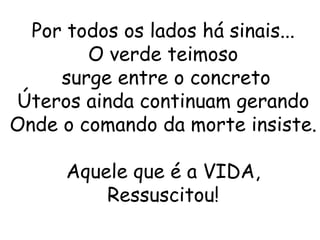Por todos os lados há sinais...
        O verde teimoso
     surge entre o concreto
Úteros ainda continuam gerando
Onde o comando da morte insiste.

      Aquele que é a VIDA,
          Ressuscitou!
 