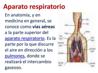 En anatomía, y en
medicina en general, se
conoce como vías aéreas
a la parte superior del
aparato respiratorio. Es la
parte por la que discurre
el aire en dirección a los
pulmones, donde se
realizará el intercambio
gaseoso.
Aparato respiratorio
 