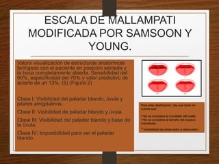ESCALA DE MALLAMPATI
MODIFICADA POR SAMSOON Y
YOUNG.
Valora visualización de estructuras anatómicas
faríngeas con el paciente en posición sentada y
la boca completamente abierta. Sensibilidad del
60%, especificidad del 70% y valor predictivo de
acierto de un 13%. (5) (Figura 2)
Clase I: Visibilidad del paladar blando, úvula y
pilares amigdalinos.
Clase II: Visibilidad de paladar blando y úvula.
Clase III: Visibilidad del paladar blando y base de
la úvula.
Clase IV: Imposibilidad para ver el paladar
blando.
Para esta clasificación, hay que tener en
cuenta que:
No se considera la movilidad del cuello.
No se considera el tamaño del espacio
mandibular.
Variabilidad de observador a observador.
 