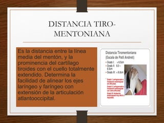 DISTANCIA TIRO-
MENTONIANA
Es la distancia entre la línea
media del mentón, y la
prominencia del cartílago
tiroides con el cuello totalmente
extendido. Determina la
facilidad de alinear los ejes
laríngeo y faríngeo con
extensión de la articulación
atlantooccipital.
 