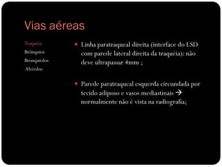Vias aéreas
Traquéia       Linha paratraqueal direita (interface do LSD
Brônquios       com parede lateral direita da traquéia): não
Bronquíolos     deve ultrapassar 4mm ;
Alvéolos

               Parede paratraqueal esquerda circundada por
                tecido adiposo e vasos mediastinais 
                normalmente não é vista na radiografia;
 