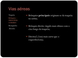 Vias aéreas
Traquéia       Brônquios principais originam-se da traquéia
Brônquios –     na carina;
PRINCIPAIS
LOBARES
Bronquíolos    Brônquio direito: ângulo mais obtuso com o
Alvéolos        eixo longo da traquéia;

               Direito(2,2cm) mais curto que o
                esquerdo(5cm);
 
