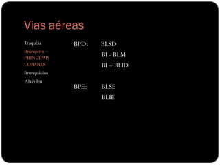 Vias aéreas
Traquéia      BPD:   BLSD
Brônquios –
PRINCIPAIS
                     BI - BLM
LOBARES              BI – BLID
Bronquíolos
Alvéolos
              BPE:   BLSE
                     BLIE
 