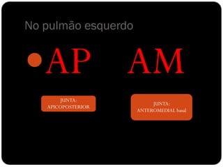 No pulmão esquerdo


AP AM
       JUNTA:
                          JUNTA:
   APICOPOSTERIOR
                     ANTEROMEDIAL basal
 