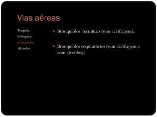 Vias aéreas
Traquéia       Bronquíolos terminais (sem cartilagem);
Brônquios
Bronquíolos
Alvéolos       Bronquíolos respiratórios (sem cartilagem e
                com alvéolos);
 