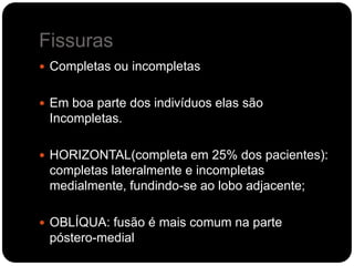 Fissuras
 Completas ou incompletas


 Em boa parte dos indivíduos elas são
 Incompletas.

 HORIZONTAL(completa em 25% dos pacientes):
 completas lateralmente e incompletas
 medialmente, fundindo-se ao lobo adjacente;

 OBLÍQUA: fusão é mais comum na parte
 póstero-medial
 
