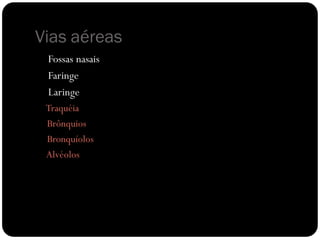 Vias aéreas
Fossas nasais
Faringe
Laringe
Traquéia
Brônquios
Bronquíolos
Alvéolos
 