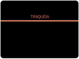 TRAQUÉIA
 