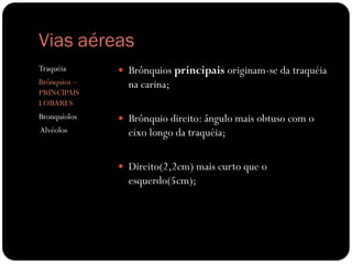 Vias aéreas
Traquéia
Brônquios –
PRINCIPAIS
LOBARES
Bronquíolos
Alvéolos
 Brônquios principais originam-se da traquéia
na carina;
 Brônquio direito: ângulo mais obtuso com o
eixo longo da traquéia;
 Direito(2,2cm) mais curto que o
esquerdo(5cm);
 