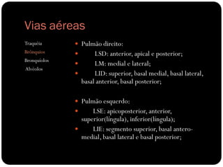 Vias aéreas
Traquéia       Pulmão direito:
Brônquios           LSD: anterior, apical e posterior;
Bronquíolos
                    LM: medial e lateral;
Alvéolos
                    LID: superior, basal medial, basal lateral,
                basal anterior, basal posterior;

               Pulmão esquerdo:
                   LSE: apicoposterior, anterior,
                superior(língula), inferior(língula);
                   LIE: segmento superior, basal antero-
                medial, basal lateral e basal posterior;
 