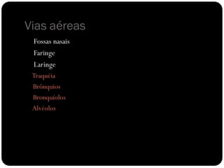 Vias aéreas
 Fossas nasais
 Faringe
 Laringe
 Traquéia
 Brônquios
 Bronquíolos
 Alvéolos
 