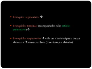  Brônquios segmentares 
 Bronquíolos terminais (acompanhados pelas artérias
pulmonares)
 Bronquíolos respiratórios  cada um dando origem a ductos
alveolares  sacos alveolares (revestidos por alvéolos)
 