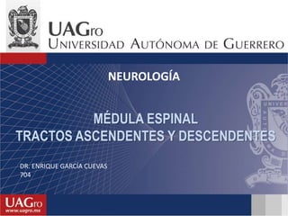 MÉDULA ESPINAL
TRACTOS ASCENDENTES Y DESCENDENTES
NEUROLOGÍA
DR. ENRIQUE GARCÍA CUEVAS
704
 