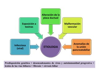 ETIOLOGIA
Infecciosa
(viral)
Exposición a
toxinas
Alteración de la
placa ductual
Malformación
vascular
Anomalías de
la unión
pancreatobiliar
Predisposición genética > desencadenantes de virus y autoinmunidad progresiva >
lesión de las vías biliares > fibrosis > cirrosis biliar
 