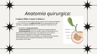 Vias biliares extrahepaticas y vesicula biliar | PPTX