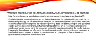 PATRONES MICROBIANOS DEL METABOLISMO PARAR LA PRODUCCION DE ENERGIA
• Hay 2 mecanismos de metabólicos para la generación de energía en energía del ATP:
• Fosforilacion del sustrato (transferencia directa de enlaces de fosfato anhidro a partir de un
donador orgánico) y las fosforilacion de ADP por un fosfato inorgánico. Esta última reacción
es desfavorable desde el punto de vista energético y debe ser estimulada por una gradiente
electroquímica transmembrana, la fuerza motriz protónica. En la respiración el gradiente
electroquímico se crea a partir de oxidantes y reductores proporcionados del medio externo.
La energía liberada por transferencia de electrones de sustancias reductoras a oxidantes a
través de transportadores unidos a la membrana se acoplan para la formación de un
gradiente electroquímico transmembrana
 