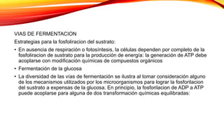 VIAS DE FERMENTACION
Estrategias para la fosfoliracion del sustrato:
• En ausencia de respiración o fotosíntesis, la células dependen por completo de la
fosfoliracion de sustrato para la producción de energía: la generación de ATP debe
acoplarse con modificación químicas de compuestos orgánicos
• Fermentación de la glucosa
• La diversidad de las vías de fermentación se ilustra al tomar consideración alguno
de los mecanismos utilizados por los microorganismos para lograr la fosforilacion
del sustrato a expensas de la glucosa. En principio, la fosforilacion de ADP a ATP
puede acoplarse para alguna de dos transformación químicas equilibradas:
 