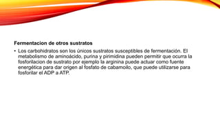 Fermentacion de otros sustratos
• Los carbohidratos son los únicos sustratos susceptibles de fermentación. El
metabolismo de aminoácido, purina y pirimidina pueden permitir que ocurra la
fosforilacion de sustrato por ejemplo la arginina puede actuar como fuente
energética para dar origen al fosfato de cabamoilo, que puede utilizarse para
fosforilar el ADP a ATP.
 