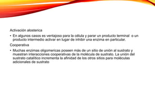 Activación alosterica
• En algunos casos es ventajoso para la célula y parar un producto terminal o un
producto intermedio activar en lugar de inhibir una enzima en particular.
Cooperativa
• Muchas enzimas oligomericas poseen más de un sitio de unión al sustrato y
muestran interacciones cooperativas de la molécula de sustrato. La unión del
sustrato catalítico incrementa la afinidad de los otros sitios para moléculas
adicionales de sustrato
 