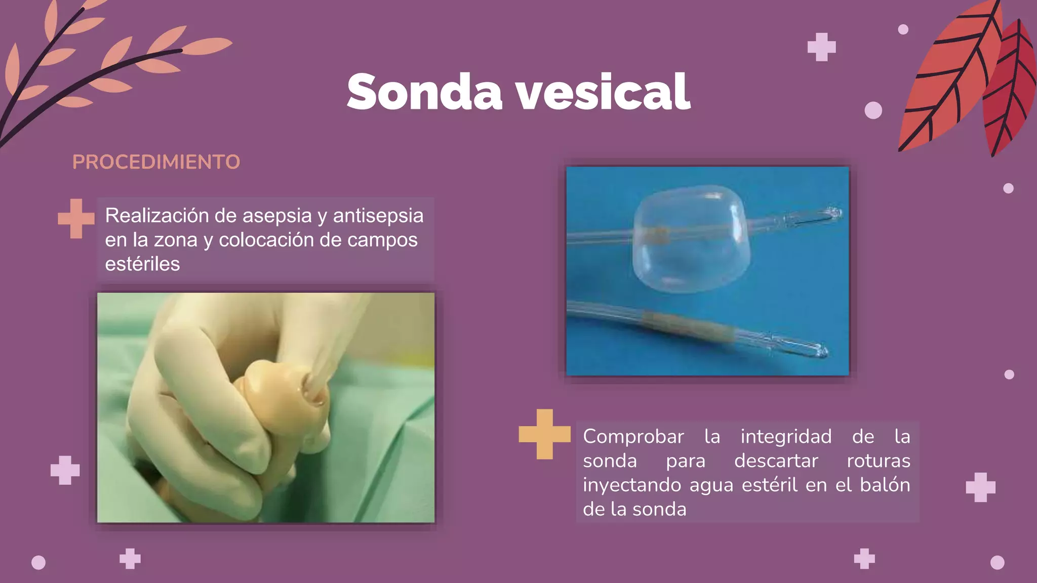 Vias Centrales Y Sonda Vesicales pptx vias-centrales-y-sonda-vesicales-pptx