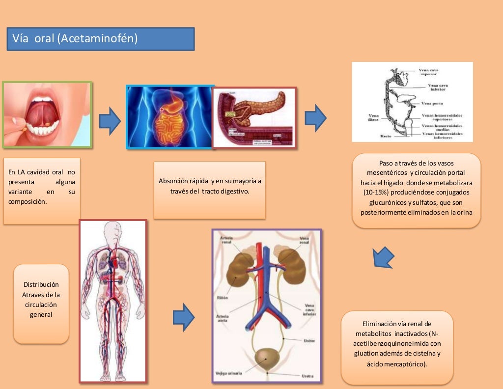 Vias de administración de medicamentos Vias de administración de medicamentos