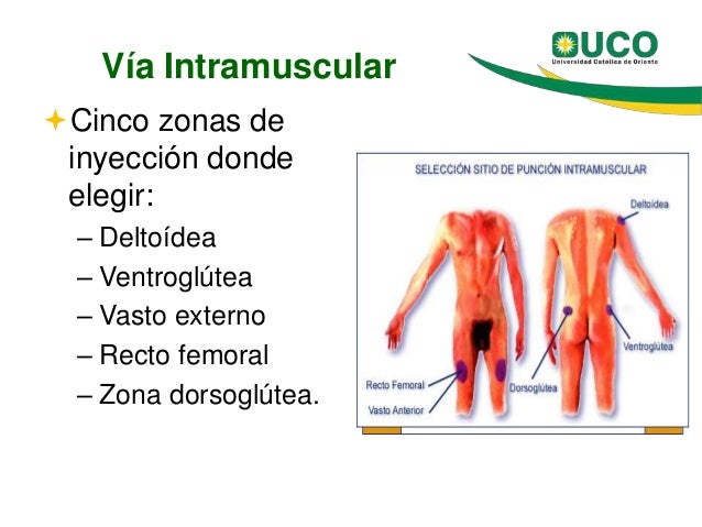 Como de las arrugas del párpados del ojo