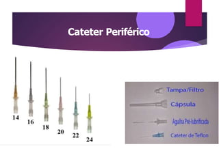 Cateter Periférico
.
 