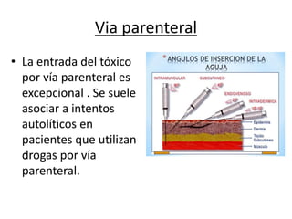 Vias de entrada del toxico | PPTX