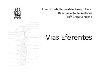 Universidade Federal de Pernambuco
Departamento de Anatomia
Profª Graça Coriolano
Vias Eferentes
 