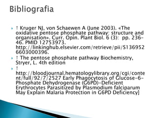 Bibliografia↑ Kruger NJ, von Schaewen A (June 2003). «Theoxidativepentosephosphatepathway: structure and organisation». Curr. Opin. PlantBiol. 6 (3):  pp. 236–46. PMID 12753973. http://linkinghub.elsevier.com/retrieve/pii/S1369526603000396. ↑ ThepentosephosphatepathwayBiochemistry, Stryer, L. 4th edition↑ http://bloodjournal.hematologylibrary.org/cgi/content/full/92/7/2527 EarlyPhagocytosis of Glucose-6-Phosphate Dehydrogenase (G6PD)-DeficientErythrocytesParasitizedbyPlasmodiumfalciparumMayExplain Malaria Protection in G6PD Deficiency]