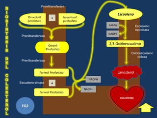 Preniltransferasa

                                                                   Escualeno
     Dimetilalil         +         Isopentenil
     pirofosfato                   pirofosfato
                                                           NADPH                 Escualeno
                                                                                 epoxidasa
                                                           NADP+
 Preniltransferasa


                       Geranil
                                                           2,3-Oxidoescualeno
                     Pirofosfato
                                                                            Oxidoescualeno
                                                                                ciclasa
 Preniltransferasa


              Farnesil Pirofosfato                                 Lanosterol
                                                   NADPH
Escualeno sintasa        +
                                                 NADP+
              Farnesil Pirofosfato
                                                                    COLESTEROL


 EQ2
 