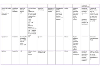 Comprehensive Overview of Metabolic Pathways and Their Regulation | PDF