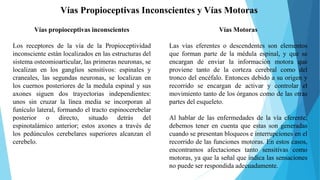 Via Inconsciente vias nerviosas generales.pptx jsjuhbdbbjajjebb | PPTX