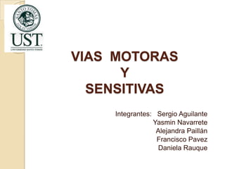 VIAS MOTORAS
      Y
  SENSITIVAS
    Integrantes: Sergio Aguilante
                Yasmin Navarrete
                 Alejandra Paillán
                 Francisco Pavez
                  Daniela Rauque
 