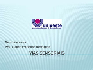 VIAS SENSORIAIS
Neuroanatomia
Prof. Carlos Frederico Rodrigues
 