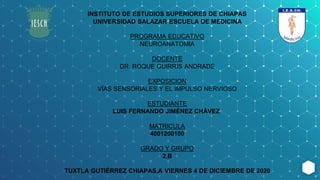 INSTITUTO DE ESTUDIOS SUPERIORES DE CHIAPAS
UNIVERSIDAD SALAZAR ESCUELA DE MEDICINA
PROGRAMA EDUCATIVO
NEUROANATOMIA
DOCENTE
DR. ROQUE GUIRRIS ANDRADE
EXPOSICION
VÍAS SENSORIALES Y EL IMPULSO NERVIOSO
ESTUDIANTE
LUIS FERNANDO JIMÉNEZ CHÁVEZ
MATRICULA
4001200100
GRADO Y GRUPO
2.B
TUXTLA GUTIÉRREZ CHIAPAS,A VIERNES 4 DE DICIEMBRE DE 2020
 