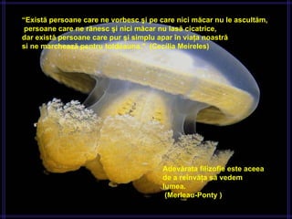 “ Există persoane care ne vorbesc şi pe care nici măcar nu le ascultăm,   persoane care ne rănesc şi nici măcar nu lasă cicatrice,  dar există persoane care pur şi simplu apar în viaţa noastră  si ne marchează pentru totdeauna ."  (Cecília Meireles)    Adevărata filizofie este aceea de a reînvăţa să vedem lumea .   (Merleau-Ponty ) 