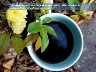 Câteodată concentrându-ne doar pe ceaşcă, uităm să savurăm
cafeaua. Savuraţi cafeaua, nu ceştile!
 