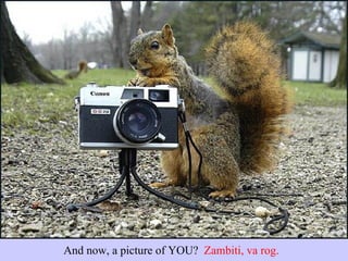 And now, a picture of YOU?  Zambiti, va rog. 