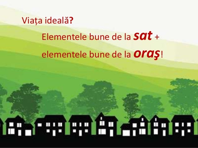 Viata la sat eseu