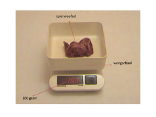 spierweefsel
100 gram
weegschaal
 